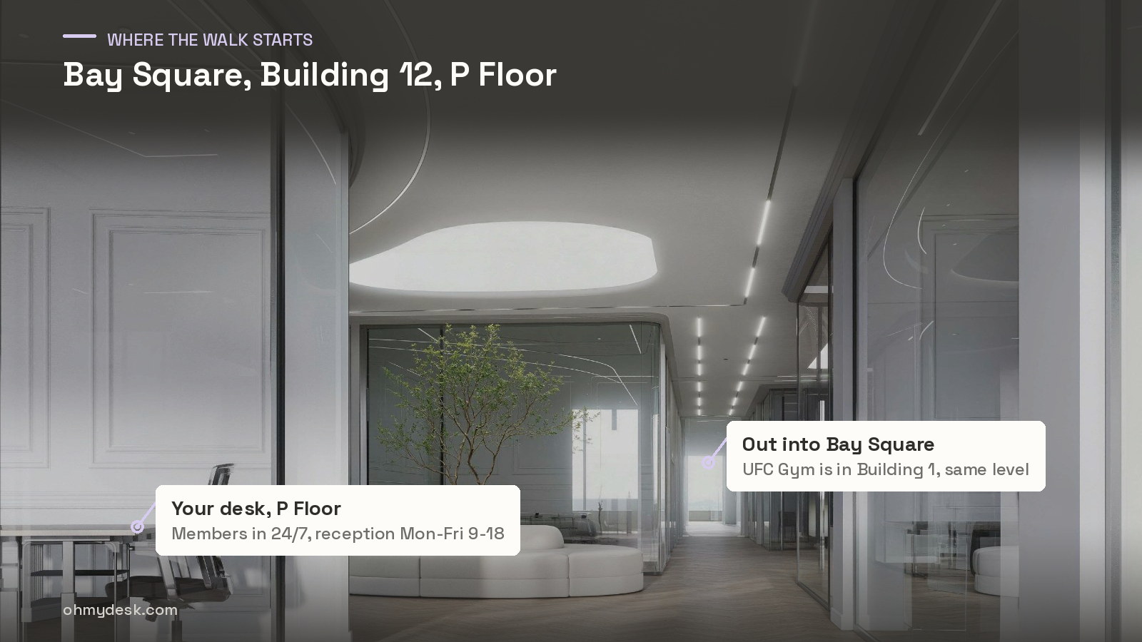 Annotated photo of the Oh My Desk Business Bay floor at Bay Square Building 12, showing the desk area and the corridor out to the square where UFC Gym sits